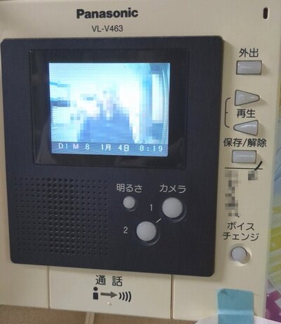 vl-463.jpg